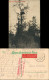 Ansichtskarte  WK1 Beobachtungsposten Im Westen Roter Stempel Feldpost 1917 - Guerre 1914-18