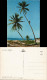 _Allgemein Beach Scene, East Africa, Palm Climbing, Palmen-Kletterer 1970 - Kenia