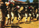 Südafrika   Zoulou, Tanz ZULU Stamm, Native Dance 1964   Stempel Johannesburg - South Africa