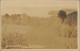 Postcard Grand Isle Vermont South From Fays Hill 1928 - Other & Unclassified