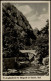 Ansichtskarte Treseburg Jungfernbrücke Bei Königsruh Im Bodetal Harz 1950 - Altri & Non Classificati
