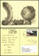 Schach-Motiv-/Korrespondenzkarte (Chess) "Gemüse Als Schachspieler" 2012 - Contemporánea (desde 1950)