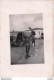 SOLDAT ALPINO AVEC FAUCON ET CAMION FIAT  ARMEE ITALIENNE PHOTO ORIGINALE 10 X 6.50 CM - War, Military