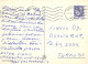 PASQUA CONIGLIO Vintage Cartolina CPSM #PBO473.A - Ostern