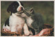 CHIEN Animaux Vintage Carte Postale CPSM #PAN630.A - Dogs