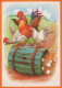 BIRD Animals Vintage Postcard CPSM #PBR584.A - Birds