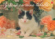 GATTO KITTY Animale Vintage Cartolina CPSM #PBQ990.A - Cats