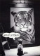 TIGRE Animales Vintage Tarjeta Postal CPSM #PBS036.A - Tigres