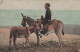 ASINO Animale BAMBINO Vintage CPA Cartolina #PAA340.A - Donkeys