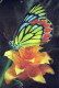 PAPILLONS Vintage Carte Postale CPSM #PBZ917.A - Papillons