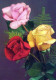 FLOWERS Vintage Postcard CPSM #PAS432.GB - Flores