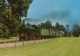 TRAIN RAILWAY Transport Vintage Postcard CPSM #PAA856.GB - Eisenbahnen