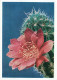 FLORES Vintage Tarjeta Postal CPSM #PAR712.ES - Fleurs