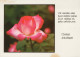 FLORES Vintage Tarjeta Postal CPSM #PAS253.ES - Fleurs