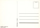 FLORES Vintage Tarjeta Postal CPSM #PAR291.ES - Fleurs