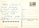 FLEURS Vintage Carte Postale CPSM #PAR713.FR - Fleurs