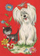 CHIEN Animaux Vintage Carte Postale CPSM #PAN593.FR - Cani