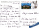 CABALLO Animales Vintage Tarjeta Postal CPSM #PBR846.ES - Cavalli