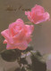 FLOWERS Vintage Ansichtskarte Postkarte CPSM #PAS135.DE - Fleurs