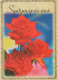 FLOWERS Vintage Ansichtskarte Postkarte CPSM #PAR894.DE - Flowers