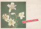 FLOWERS Vintage Ansichtskarte Postkarte CPSM #PAR714.DE - Flowers