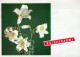 FLOWERS Vintage Ansichtskarte Postkarte CPSM #PAR714.DE - Fleurs