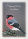 VOGEL Tier Vintage Ansichtskarte Postkarte CPSM #PAM658.DE - Birds