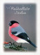VOGEL Tier Vintage Ansichtskarte Postkarte CPSM #PAM658.DE - Pájaros
