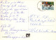 KATZE MIEZEKATZE Tier Vintage Ansichtskarte Postkarte CPSM #PAM468.DE - Gatos