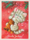 KATZE MIEZEKATZE Tier Vintage Ansichtskarte Postkarte CPSM #PAM591.DE - Katten