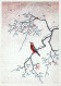 OISEAU Animaux Vintage Carte Postale CPSM #PBR470.FR - Birds