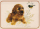 CHIEN Animaux Vintage Carte Postale CPSM #PBQ423.FR - Cani