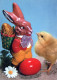 PÂQUES LAPIN ŒUF Vintage Carte Postale CPSM #PBO395.FR - Easter