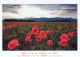 FIORI Vintage Cartolina CPSM #PAR835.IT - Flowers