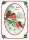 UCCELLO Animale Vintage Cartolina CPSM #PAM908.IT - Birds