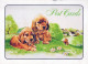 CANE Animale Vintage Cartolina CPSM #PAN663.IT - Cani