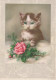 GATTO KITTY Animale Vintage Cartolina CPSM #PAM278.IT - Chats