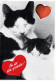 GATTO KITTY Animale Vintage Cartolina CPSM #PAM593.IT - Gatos