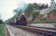 TRENO TRASPORTO FERROVIARIO Vintage Cartolina CPSMF #PAA526.IT - Eisenbahnen