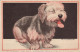 HUND Tier Vintage Ansichtskarte Postkarte CPA #PKE783.DE - Dogs