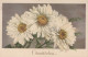 FLOWERS Vintage Ansichtskarte Postkarte CPA #PKE718.DE - Flowers