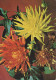 FLOWERS Vintage Ansichtskarte Postkarte CPSM #PBZ784.DE - Flowers