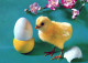 OSTERN HUHN EI Vintage Ansichtskarte Postkarte CPSM #PBP089.DE - Pâques