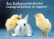 OSTERN HUHN EI Vintage Ansichtskarte Postkarte CPSM #PBO836.DE - Easter