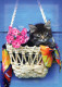 GATTO KITTY Animale Vintage Cartolina CPSM #PBQ942.IT - Cats