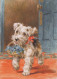 CANE Animale Vintage Cartolina CPSM #PBQ355.IT - Dogs