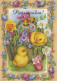 PASQUA POLLO UOVO Vintage Cartolina CPSM #PBO649.IT - Ostern