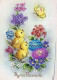 PASQUA POLLO UOVO Vintage Cartolina CPSM #PBP212.IT - Easter