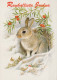 Buon Anno Natale CONIGLIO Vintage Cartolina CPSM #PAV052.IT - Año Nuevo