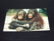 75042-    APEN / APES / AFFEN / SINGES / SIMIOS - Monkeys